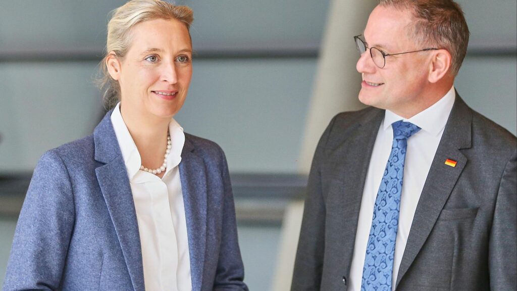 Alice Weidel und Tino Chrupalla (Archiv)