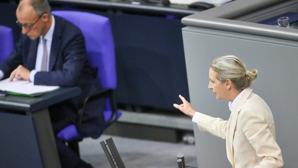 Friedrich Merz und Alice Weidel (Archiv)