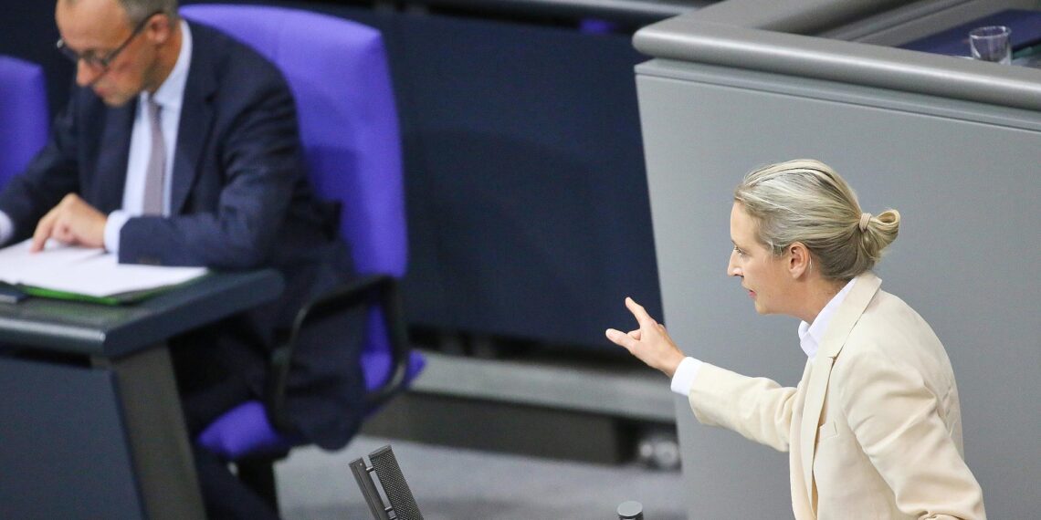 Friedrich Merz und Alice Weidel (Archiv)