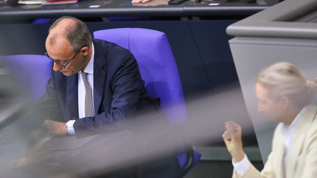 Friedrich Merz und Alice Weidel (Archiv)