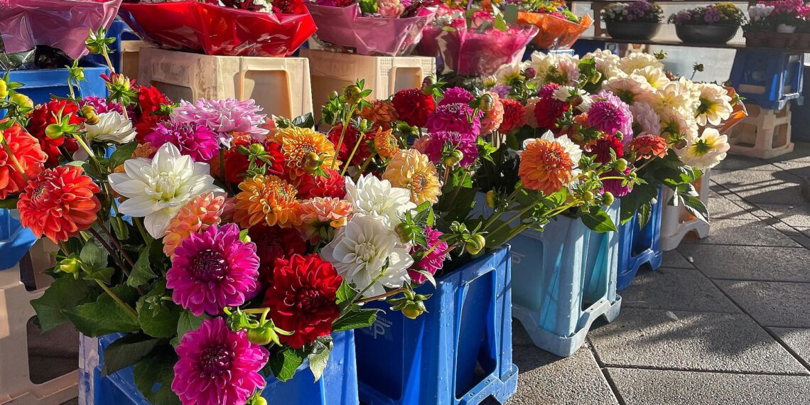 Blumen in einem Blumenladen (Archiv)