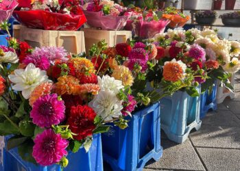 Blumen in einem Blumenladen (Archiv)