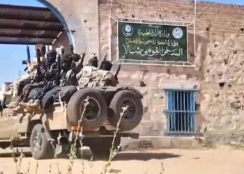 Weitere Berichte über Gräueltaten im Südsudan 2 RSF-Video am 30.10.2025