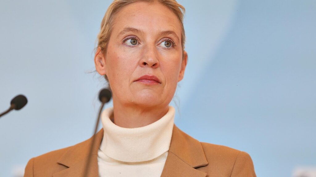 Alice Weidel (Archiv)