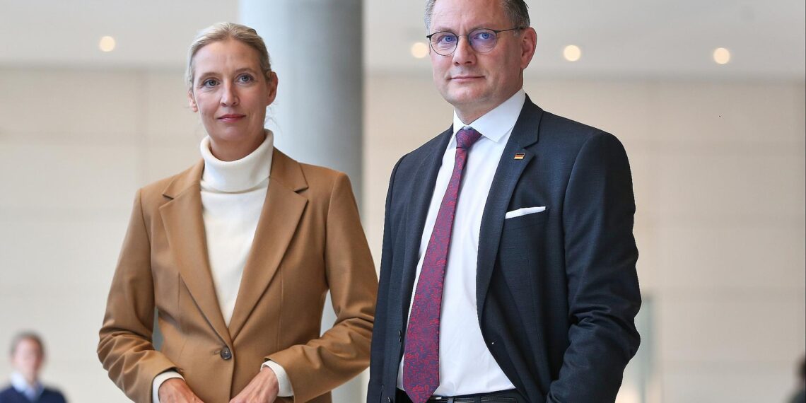 Alice Weidel und Tino Chrupalla (Archiv)