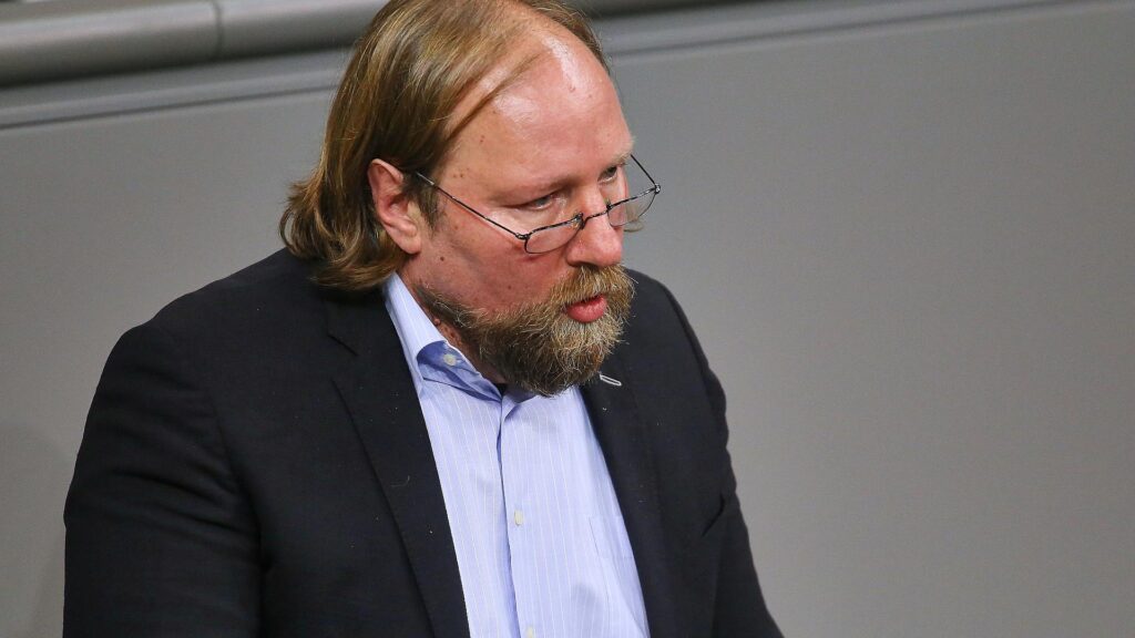 Anton Hofreiter (Archiv)