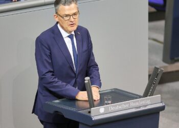 Roderich Kiesewetter (Archiv)