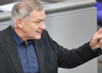 Jan van Aken (Archiv)