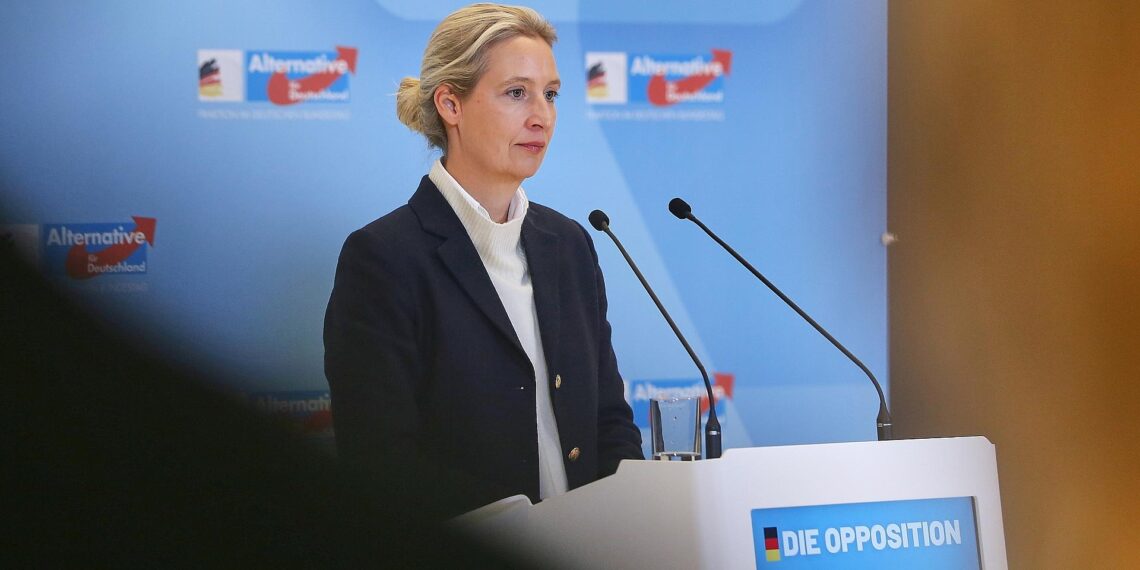Alice Weidel am 24.11.2025