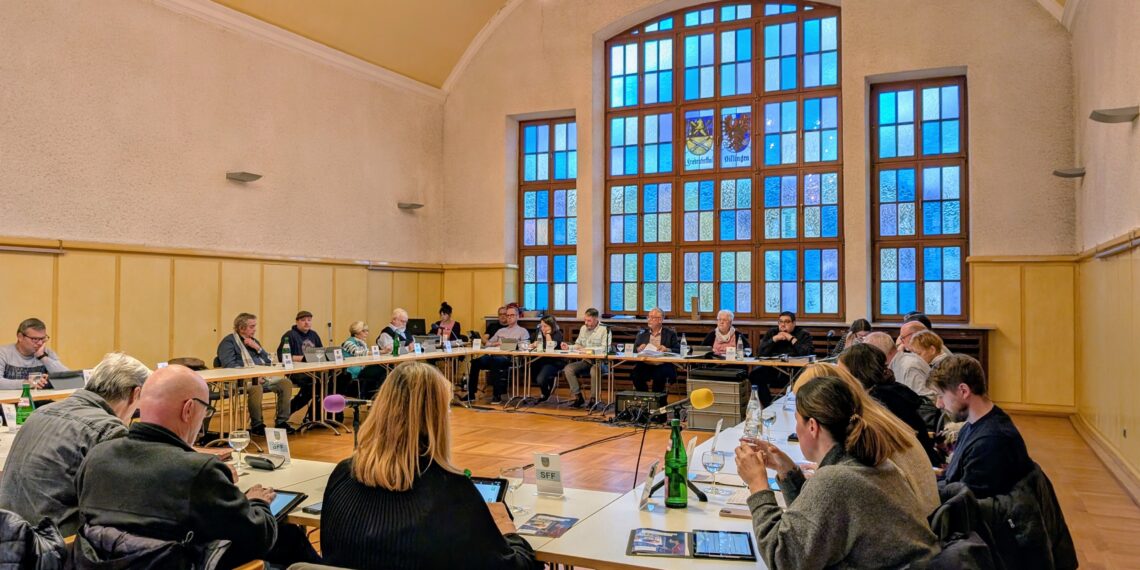 Blick in den Stadtrat vom 29.10.2025 | Bild: Regio-Journal