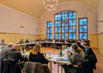 Blick in den Stadtrat vom 29.10.2025 | Bild: Regio-Journal