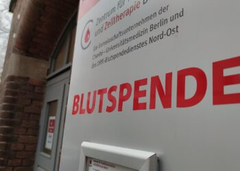 Rotes Kreuz ruft zum Jahreswechsel zur Blutspende auf 2 Blutspende (Archiv)