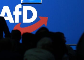 Logo auf AfD-Parteitag (Archiv)