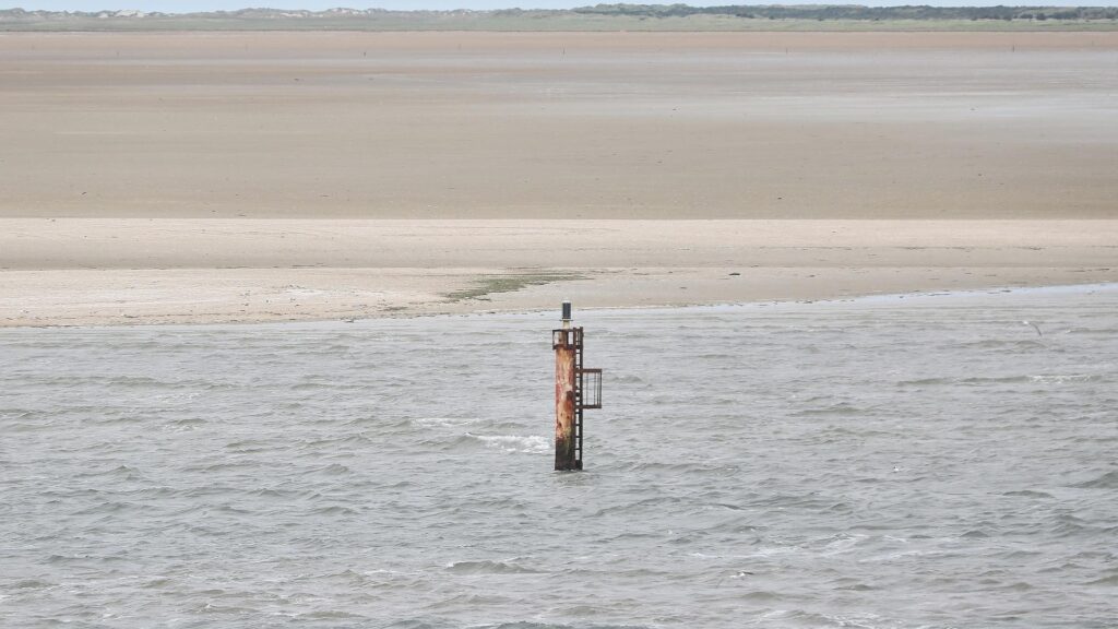 Dalbe in der Nordsee (Archiv)