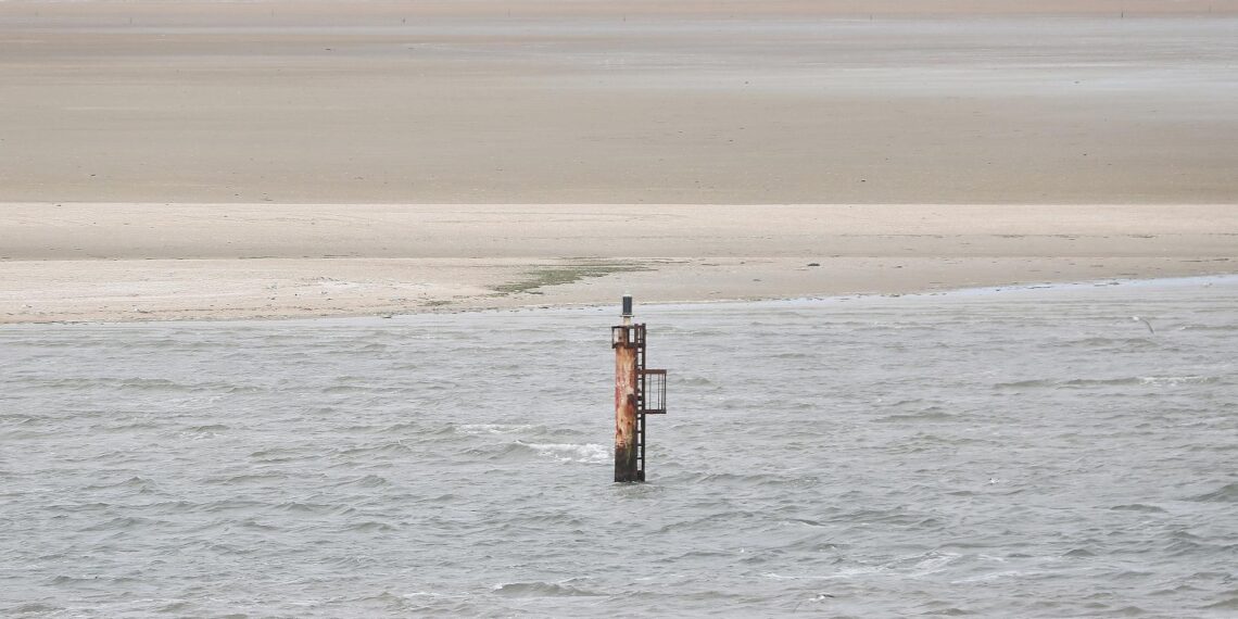 Dalbe in der Nordsee (Archiv)