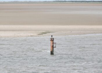 Dalbe in der Nordsee (Archiv)