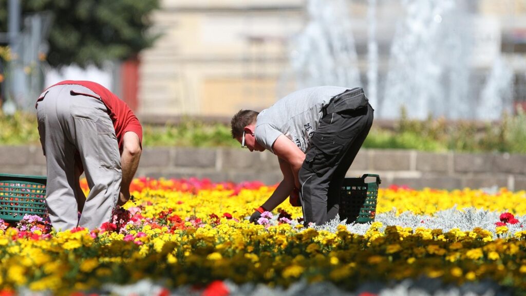 Gartenarbeiter auf einem Blumenbeet (Archiv)