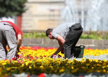 Gartenarbeiter auf einem Blumenbeet (Archiv)