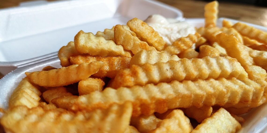 Forscher: Hochverarbeitete Lebensmittel nicht pauschal ungesund 1 Pommes mit Majo (Archiv)