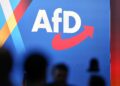 AfD-Logo auf Parteitag (Archiv)