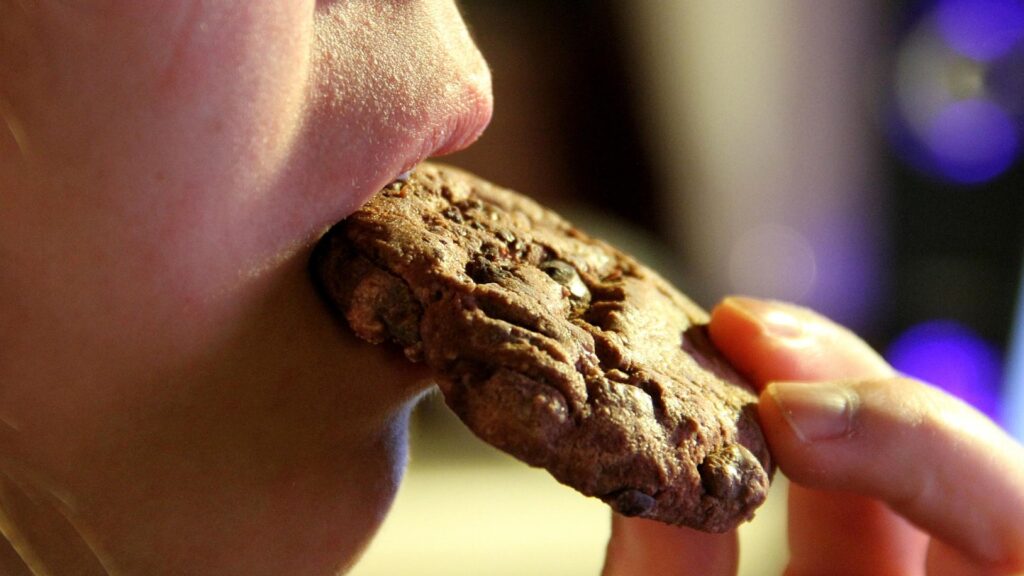 Junges Mädchen isst einen Schokoladenkeks (Archiv)