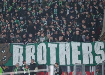 Fans des VfL Wolfsburg (Archiv)