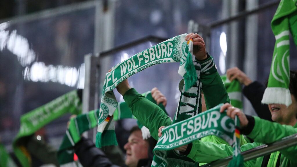 Fans des VfL Wolfsburg (Archiv)