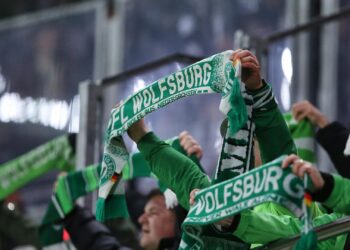 Fans des VfL Wolfsburg (Archiv)