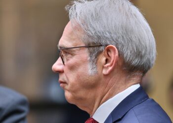 Georg Maier (Archiv)