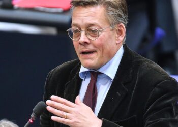 Konstantin von Notz (Archiv)