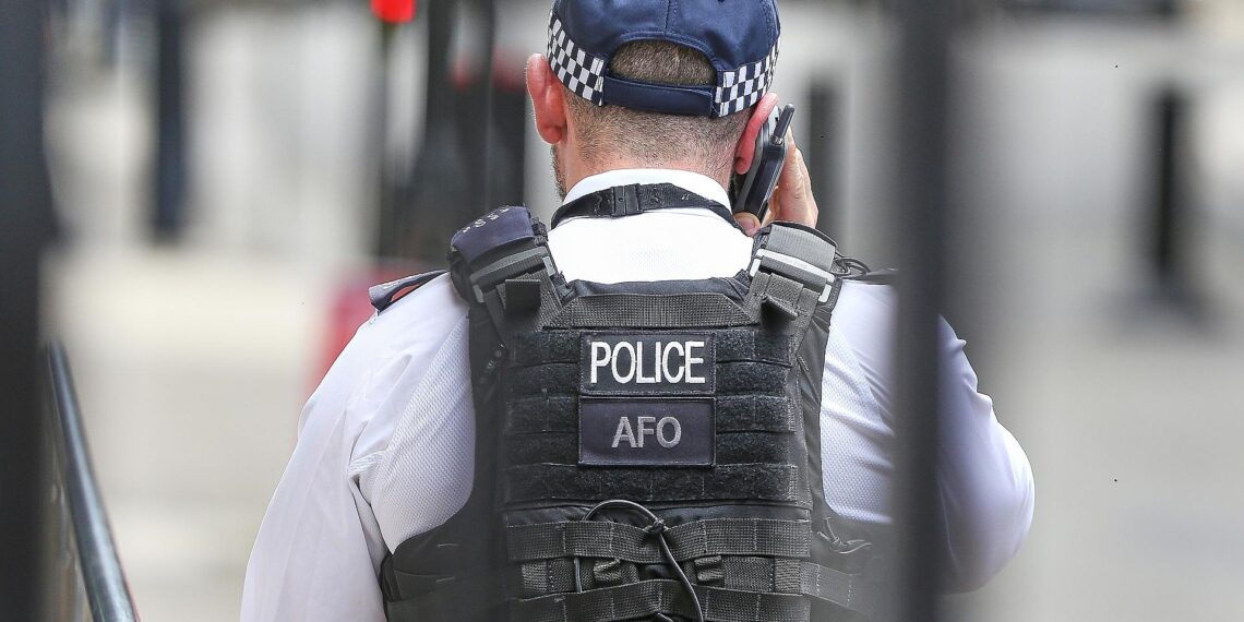 Britischer Polizist (Archiv)