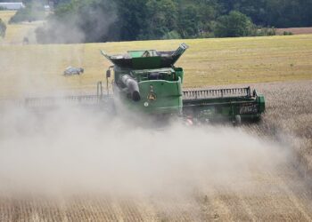 Landwirtschaft kämpft mit stagnierenden Gewinnen und Preisdruck 2 Mähdrescher (Archiv)