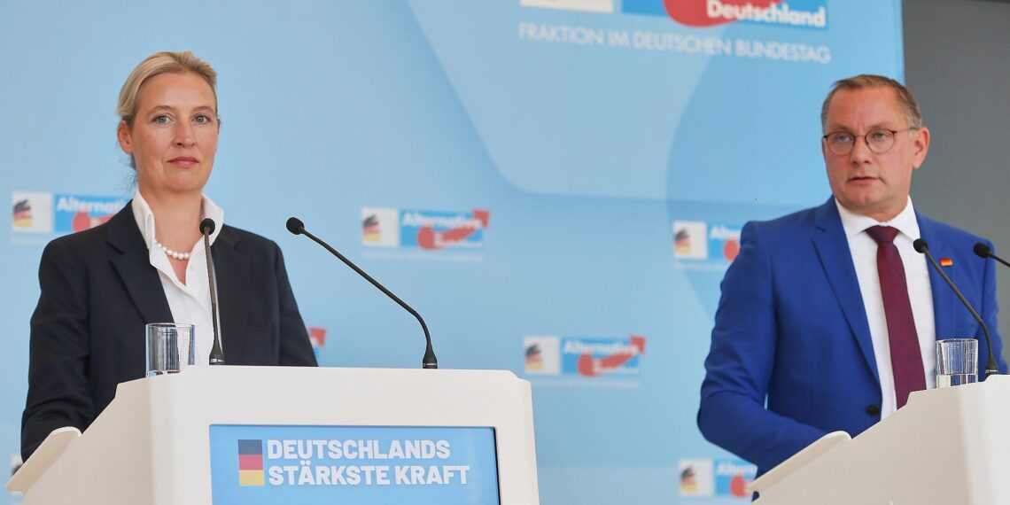 Alice Weidel und Tino Chrupalla (Archiv)