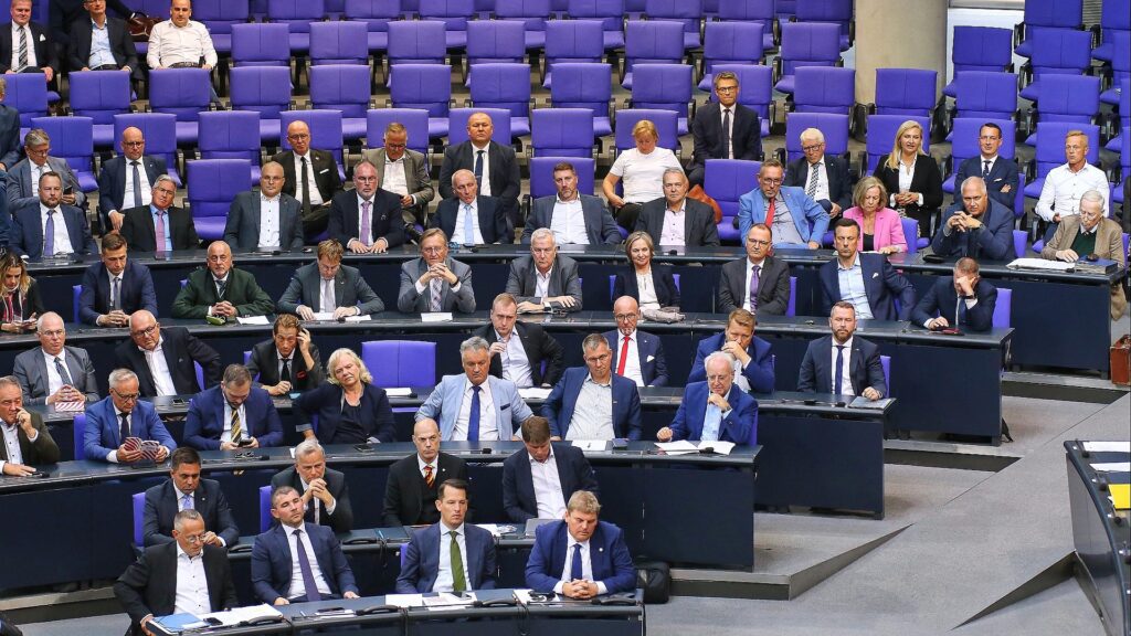 AfD-Fraktion (Archiv)