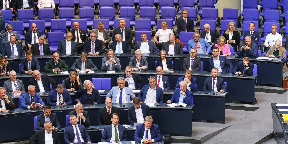 Mercosur-Abkommen spaltet AfD-Bundestagsfraktion 1 AfD-Fraktion (Archiv)