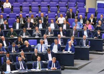 AfD-Fraktion (Archiv)