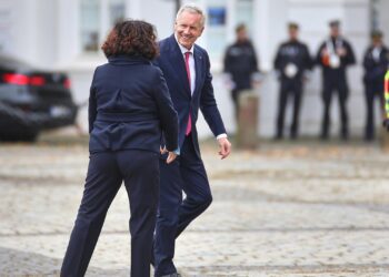 Neuer Großauftrag für Meyer-Werft - Wulff soll Streit schlichten 2 Christian Wulff (Archiv)