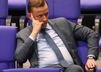 SPD-Außenpolitiker kritisiert Stand der Ukraine-Diplomatie 3 Adis Ahmetović (Archiv)