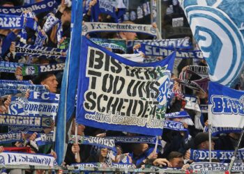 Fans von Schalke 04 (Archiv)