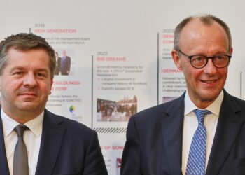 Sven Schulze und Friedrich Merz (Archiv)