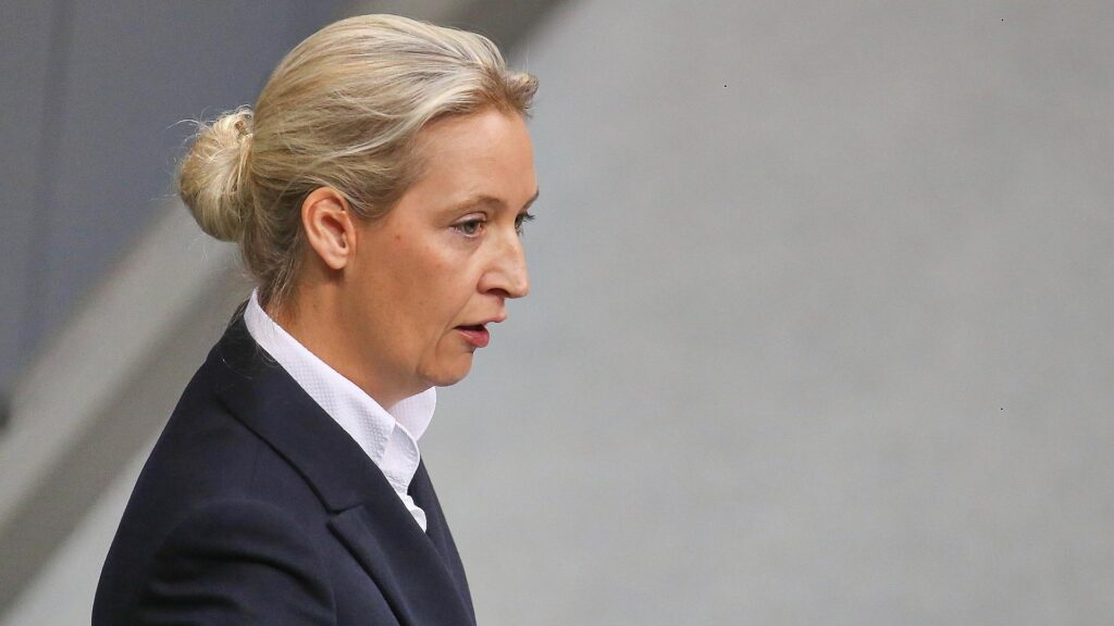 Alice Weidel (Archiv)