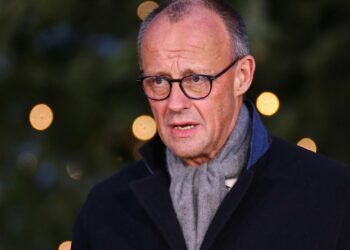 Friedrich Merz (Archiv)