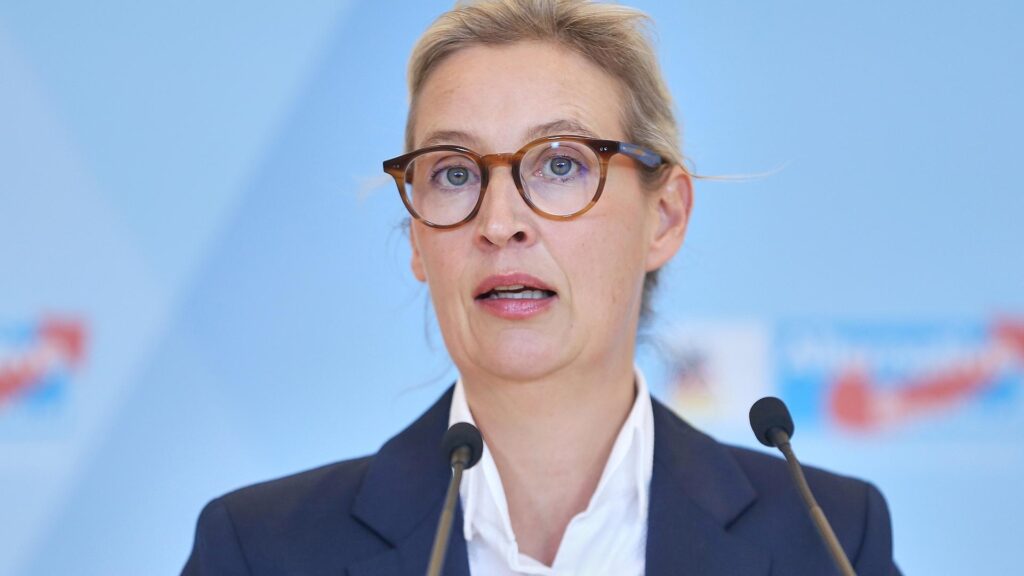 Alice Weidel am 02.12.2025
