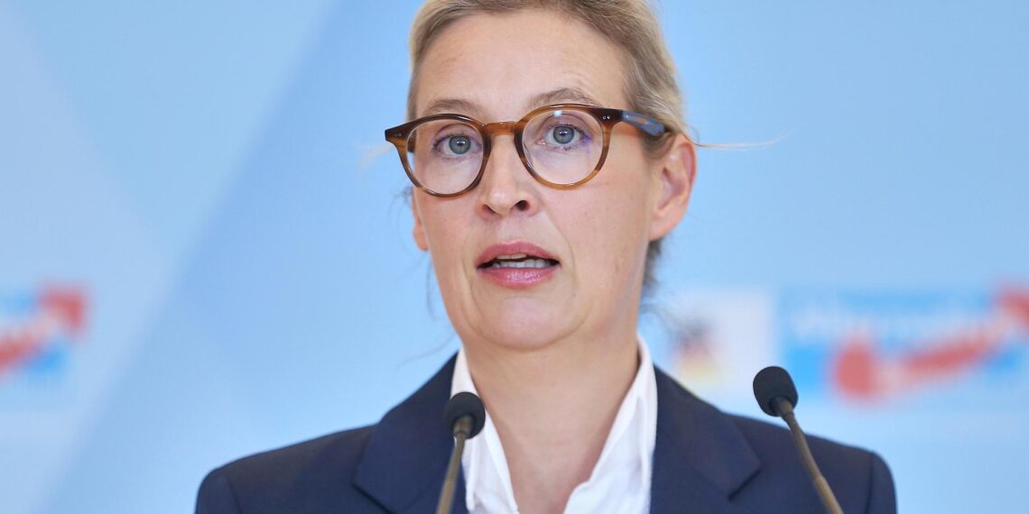 Alice Weidel am 02.12.2025