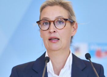 Alice Weidel am 02.12.2025