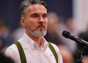 Fabio De Masi (Archiv)