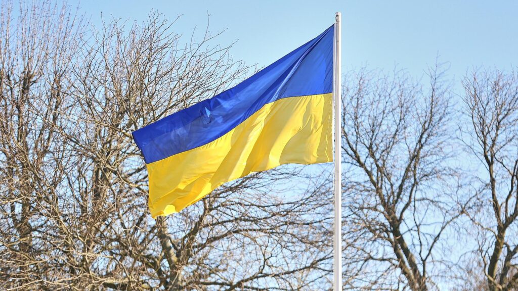 Fahne der Ukraine (Archiv)