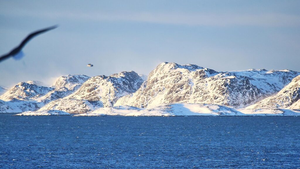 Grönland am 20.01.2026