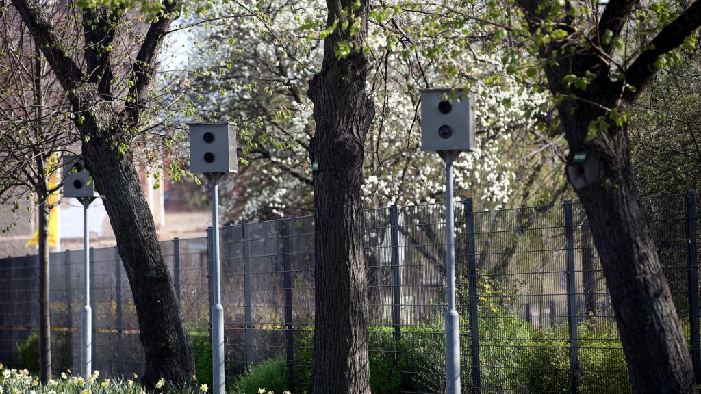 Starenkästen (Archiv)