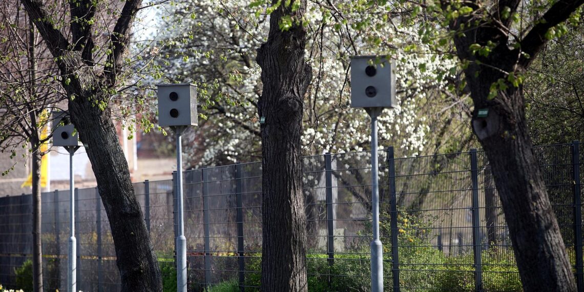 Starenkästen (Archiv)